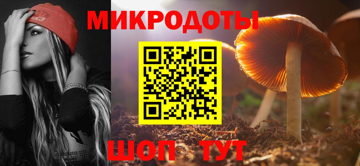 Галлюциногенные грибы Psilocybine cubensis Лиски